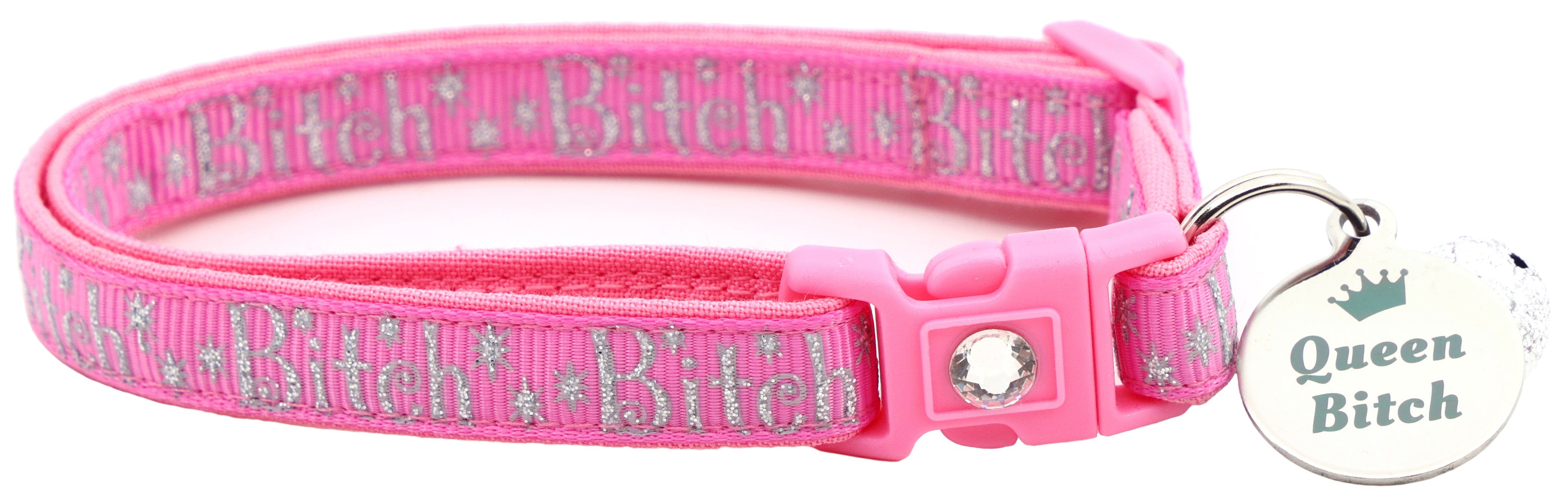 Silver Bitch Breakaway Cat Collar